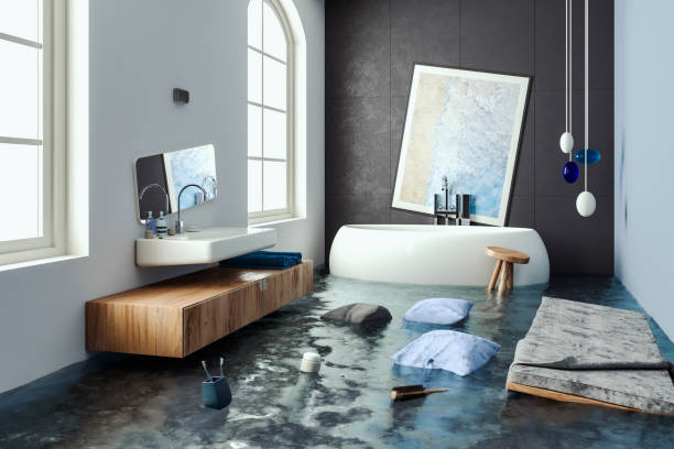 Best Local water damage restoration  in Eidson Road, TX