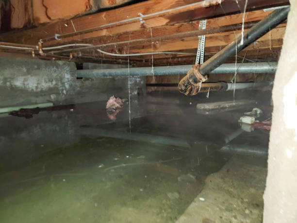 Reliable Eidson Road, TX Water damage restoration Solutions